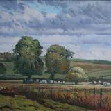 Dorset fields