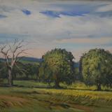 Oaks,Wiltshire