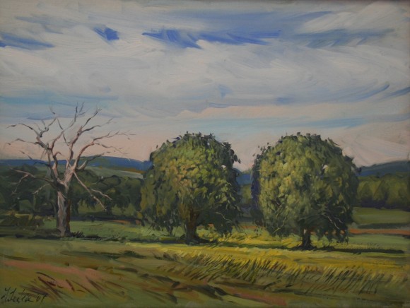 Oaks,Wiltshire