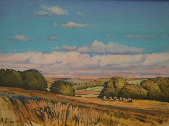 Wiltshire Fields